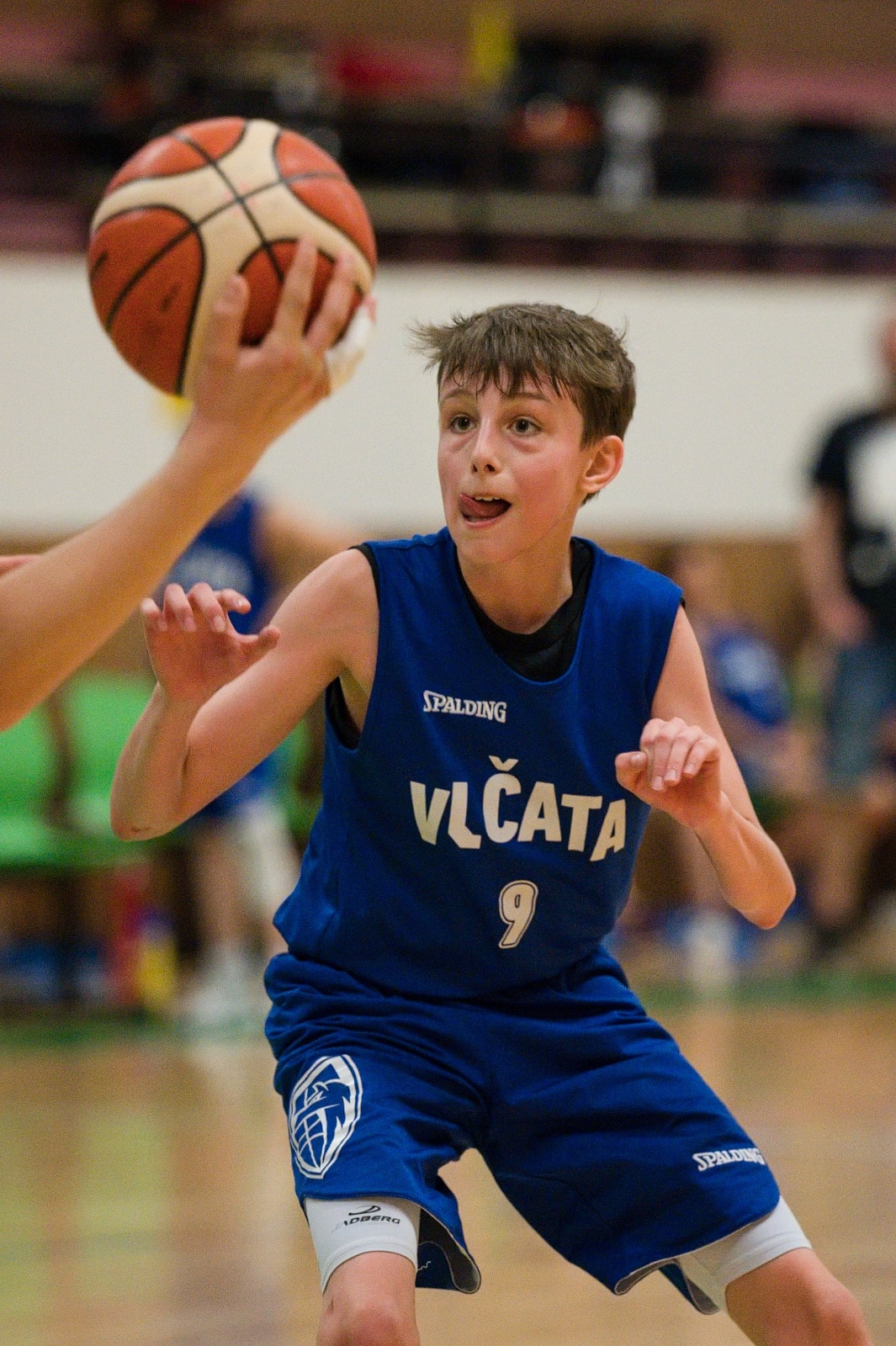 3.  Královští Sokoli vs. BK Vlci Žďár n.S. 48:63